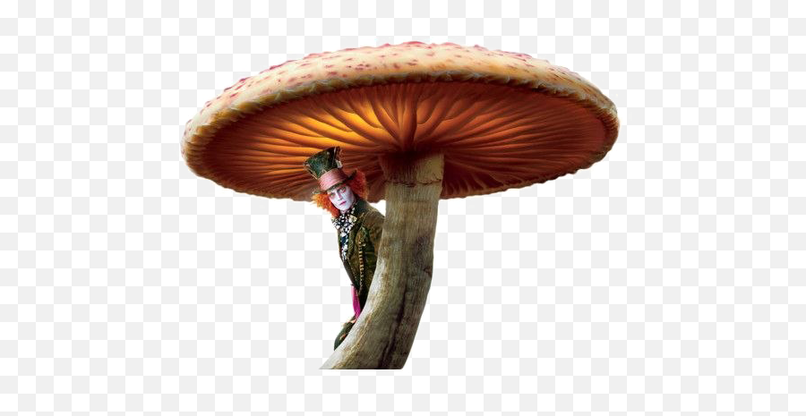 Toadstool Png Image Arts - Alice In Wonderland Tim Burton,Mushrooms Png