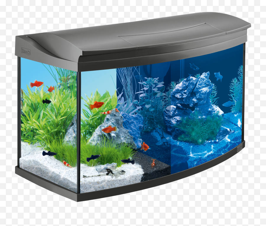 Aquarium Png Fish Tank