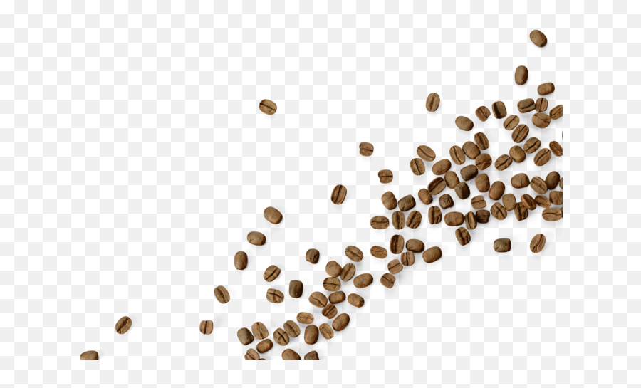 Pour Richardu0027s Coffee - Shop Coffee Subscription Coffee Beans Wave Png,Coffee Bean Png