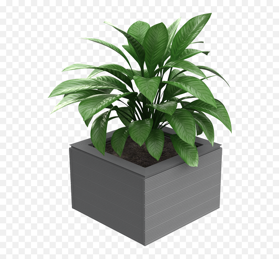 Alideck Balcony U0026 Terrace Planter Range - Alideck Aluminium Houseplant Png,Planter Png