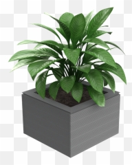 Alideck Balcony U0026 Terrace Planter Range - Alideck Aluminium Houseplant Png,Planter Png