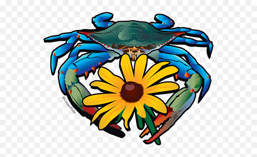 Blue Crab Maryland Black - Eyed Susan Tshirt Maryland Black Eyed Susan Png,Blue Crab Png
