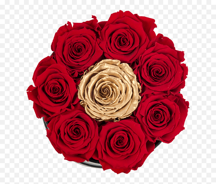 Small White Box With Red Roses And Center Gold - Rose Png,Gold Flower Png