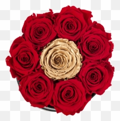 Small White Box With Red Roses And Center Gold - png