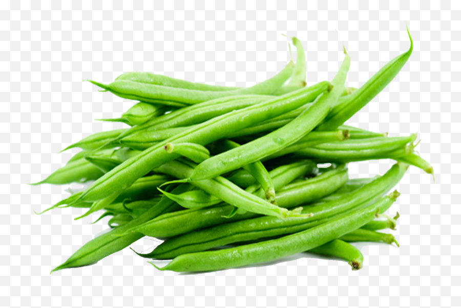 Green Beans Png Clipart - French Beans,Beans Png