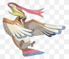 Pokemon 8018 Mega Pidgeot Pokedex Evolution Moves - Mega Pidgeot Png,Pidgey Png