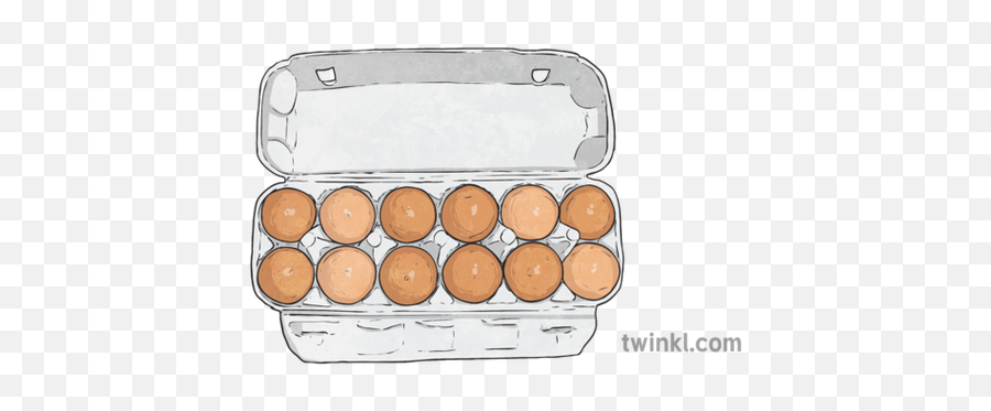 Box Of 12 Eggs Illustration - Twinkl Cylinder Png,Eggs Png