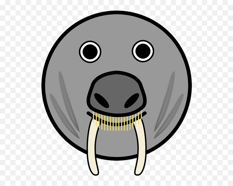 Elephant Seal Horns Fang - Logo Anjing Laut Png,Fangs Png