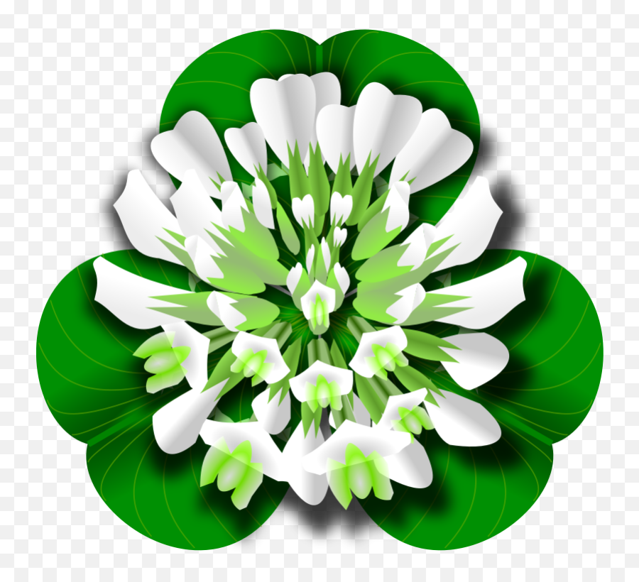 Top 23 Free Clover Flower Png Transparent Images - Free White Clover Clipart,Shamrock Clipart Png