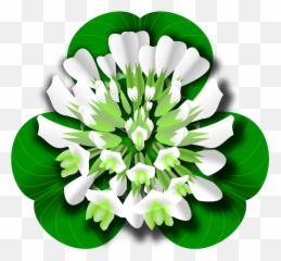 Top 23 Free Clover Flower Png Transparent Images - Free White Clover Clipart,Shamrock Clipart Png