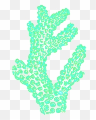 Coral Clip Art - Clipartix Transparent Background Svg png