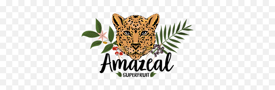 About Amazeal Superfruit - Big Png,Superfruit Logo