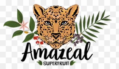 About Amazeal Superfruit - Big Png,Superfruit Logo