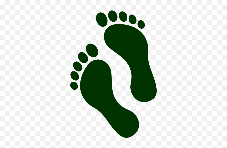 Pinnacle Footsteps Reflexology - Foot Steps Green Png,Footsteps Icon