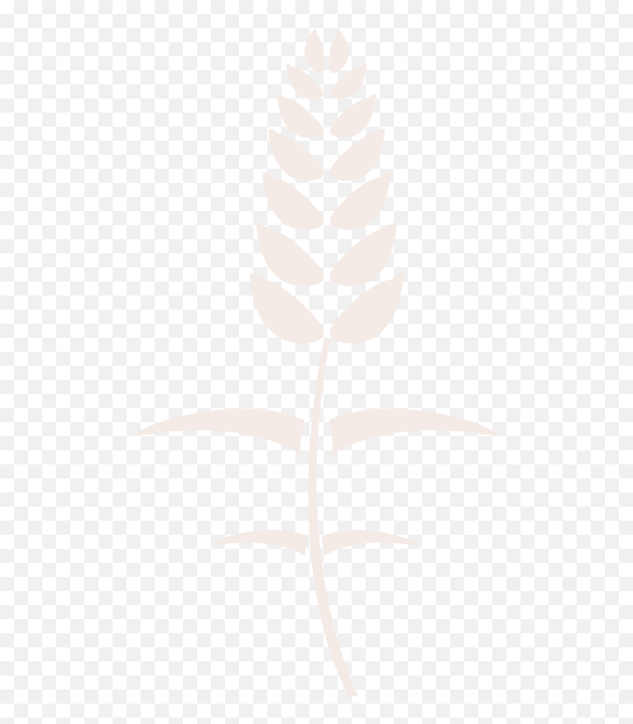 Press Release Grand Re - Opening U2013 The Grateful Bread Company Wheat Png,Wheat Icon Vector