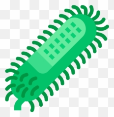 Rabies Virus Structure Bacteria Science Free Icon - Bacteria Transparent Backround png