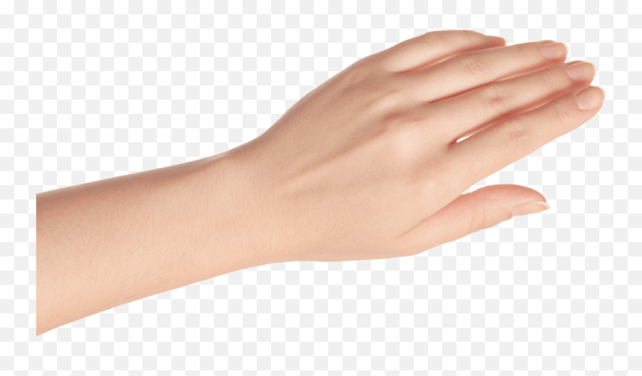 Tangiblee - Transparent Female Hand Png,Woman Hand Png