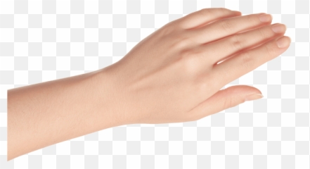 Tangiblee - Transparent Female Hand Png,Woman Hand Png