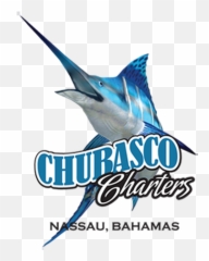 Ghana Blue Marlin Fishing Charters - Big Bash Png,Marlin Png