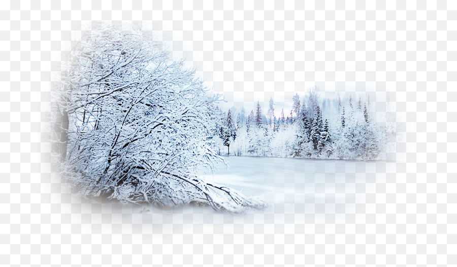 Winter Scene Background Png Free - Winter Landscape Png,Winter Background Png