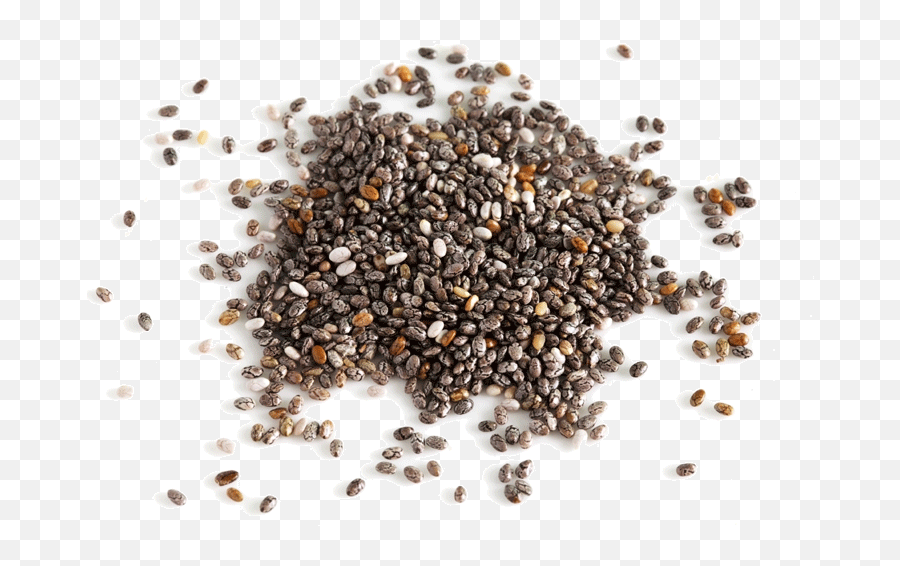 Chia Seed Png 5 Image - Transparent Background Chia Seeds Png,Seed Png