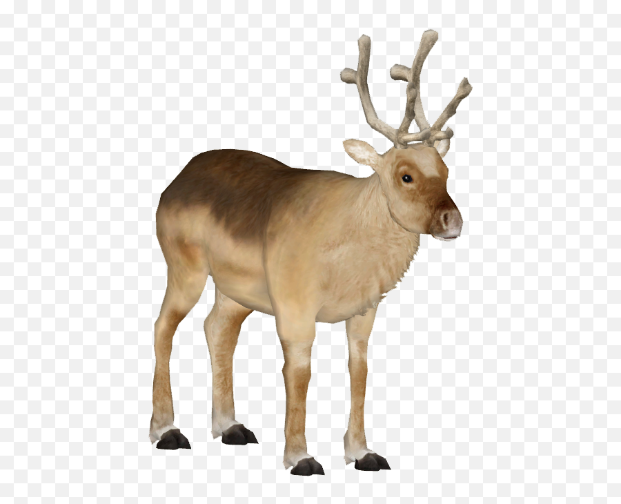 Caribou Png 2 Image - Peary Caribou Png,Caribou Png