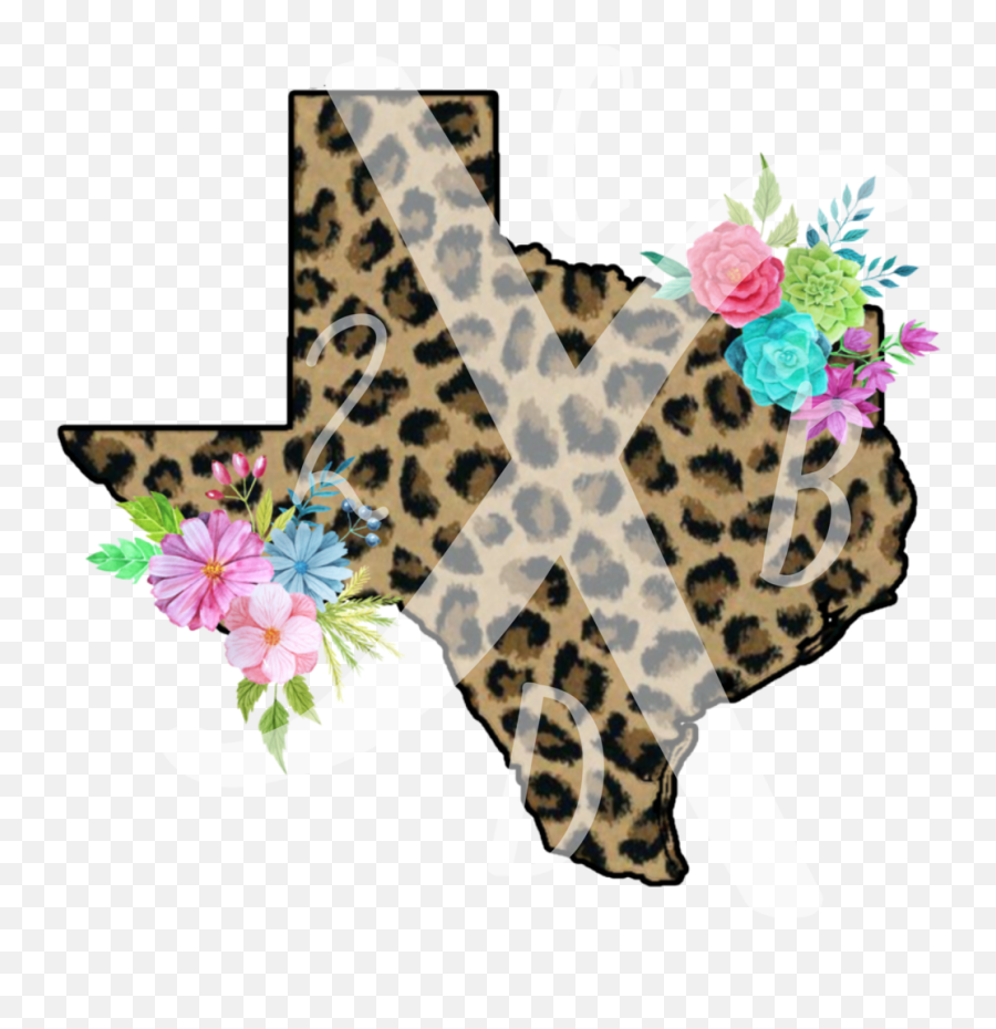 Texas 2 Crazy B Designs Vinyl Png