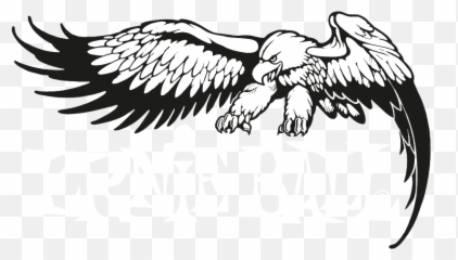 Condor Drawing Line Picture 996743 - Ernie Ball Strings Png,Ernie Png