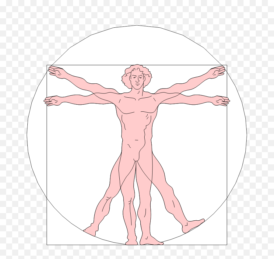 Leonardo Da Vinci Vitruvian Man - Illustration Png,Vitruvian Man Png