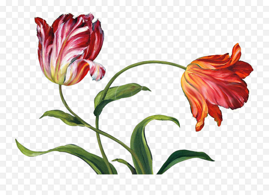 Flowers Pattern Kx46 Png V74 Pictures - China Painting Flowers,Flower Pattern Png