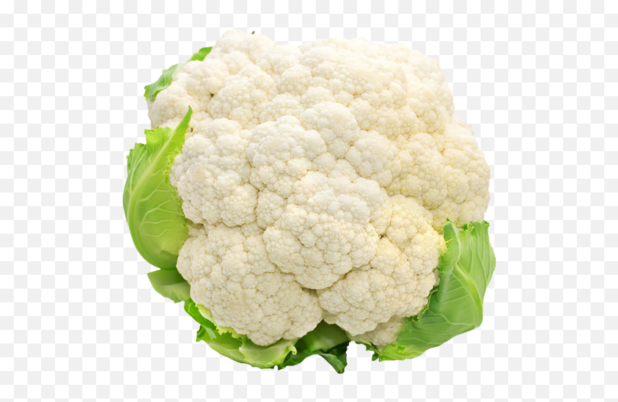 Cauliflower Png Transparent Image - Cauliflower Clipart Png,Cauliflower Png