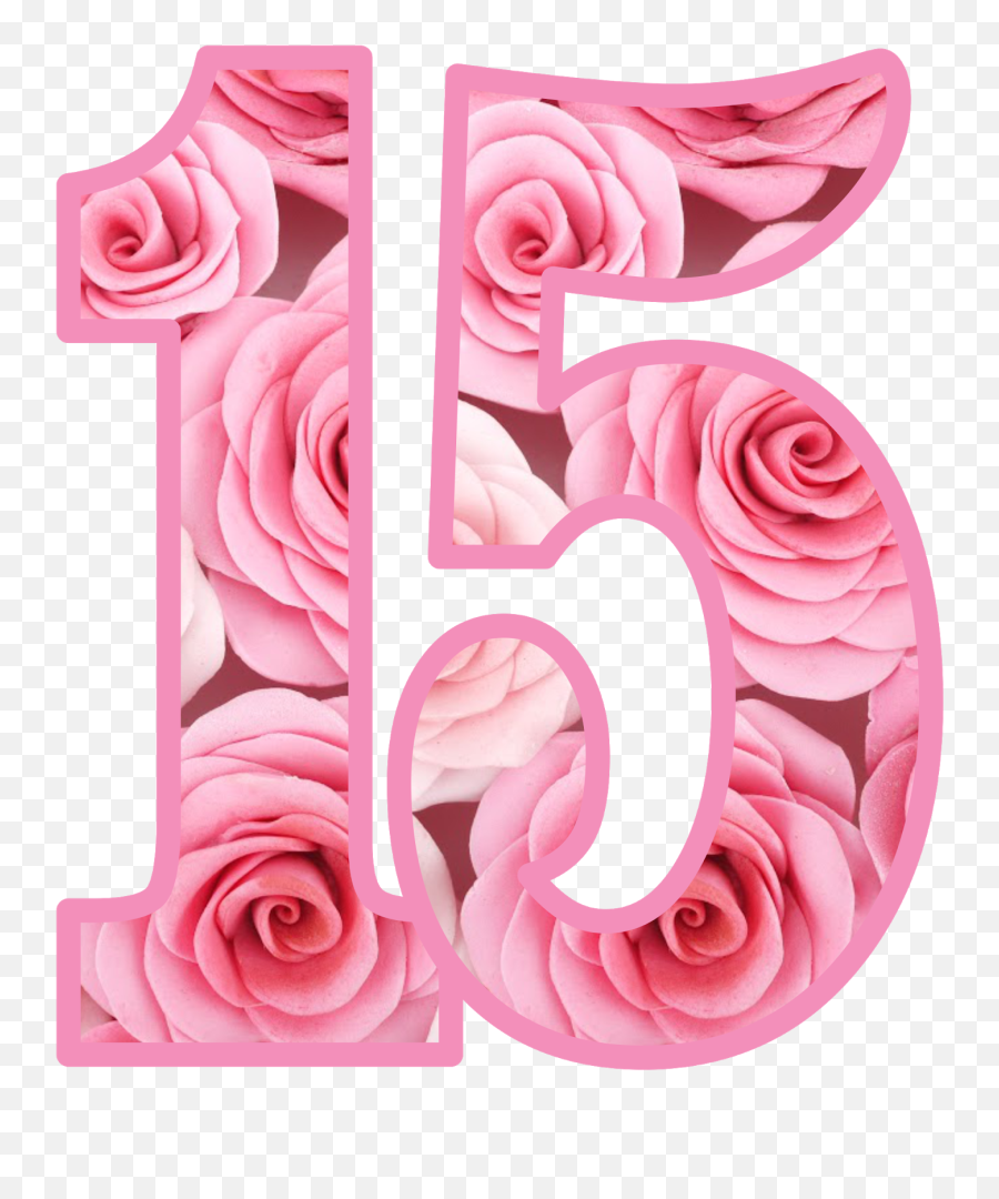 Fiesta Kit Imprimibles Imprimible Gratis Numero 15 Flores - Numero 15 Rosa Png,15 Png