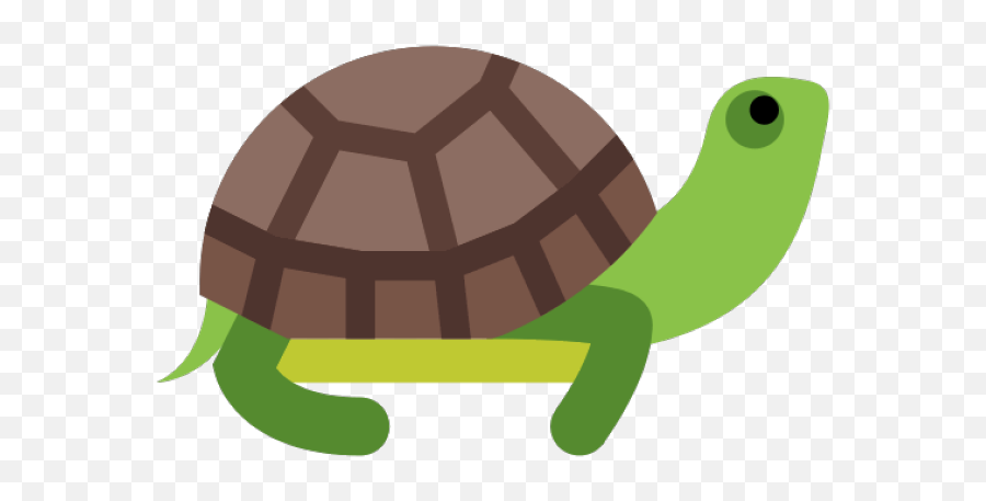 Clipart Turtle Transparent - Cartoon Transparent Turtle Png,Turtle Clipart Png