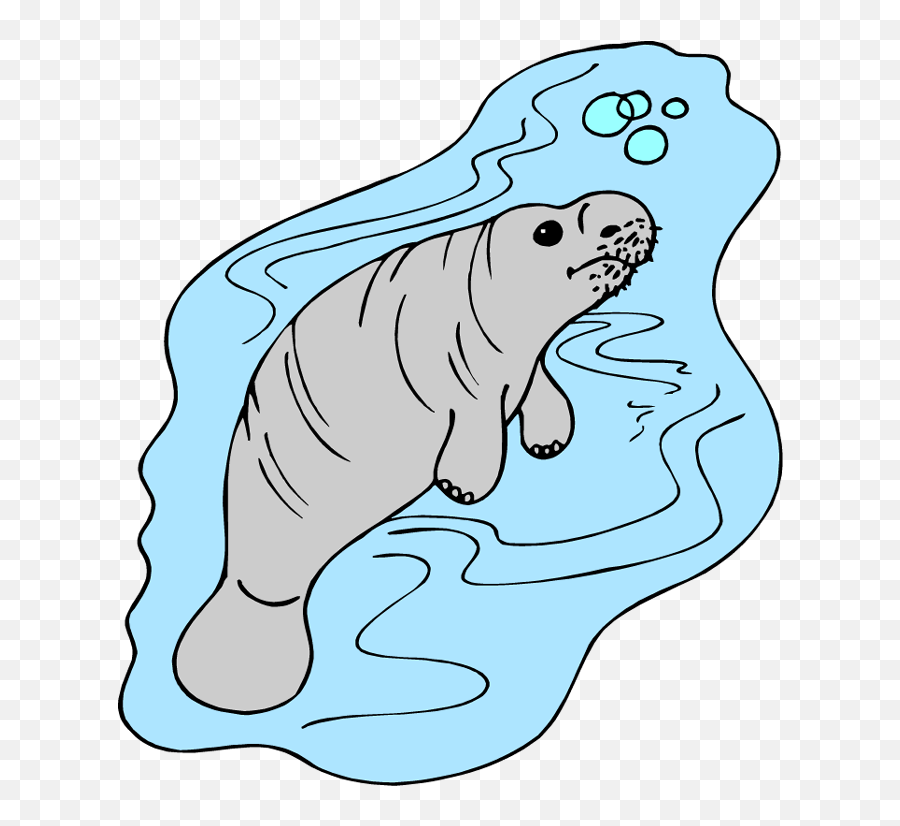 Manatee Clipart Cliparts And Others Art Inspiration - Manatee Png,Manatee Png