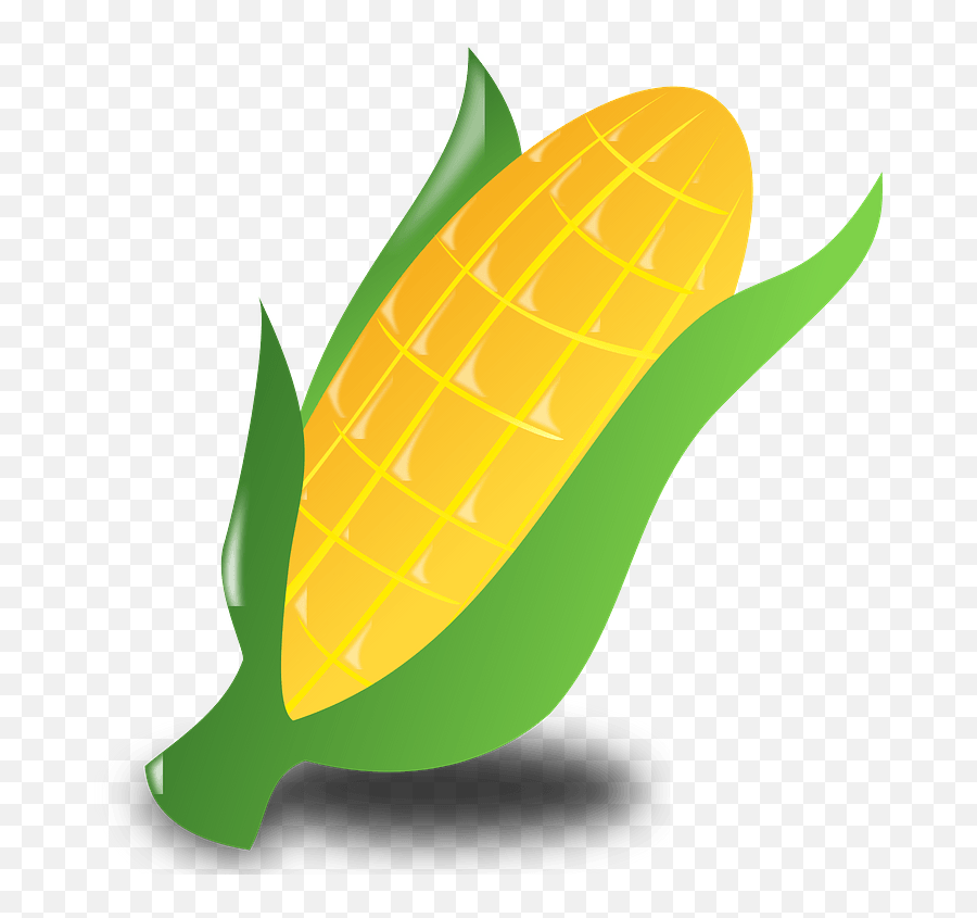 Ear Of Corn In The Shuck Clipart Free Download Transparent - Corn Clip Art Png,Ear Icon Png