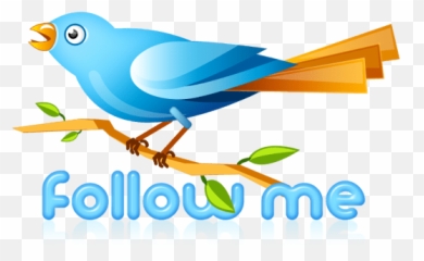 Twitter Bird Psd Icon - png