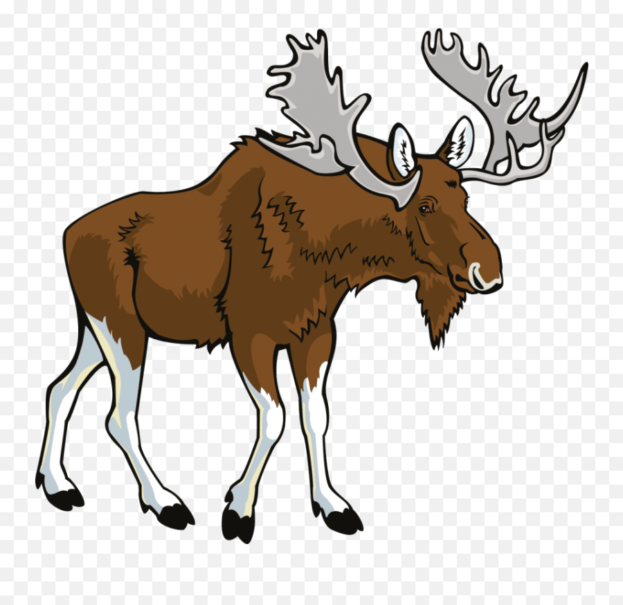 Free Png Moose Images Transparent - Moose Clipart Png,Moose Png