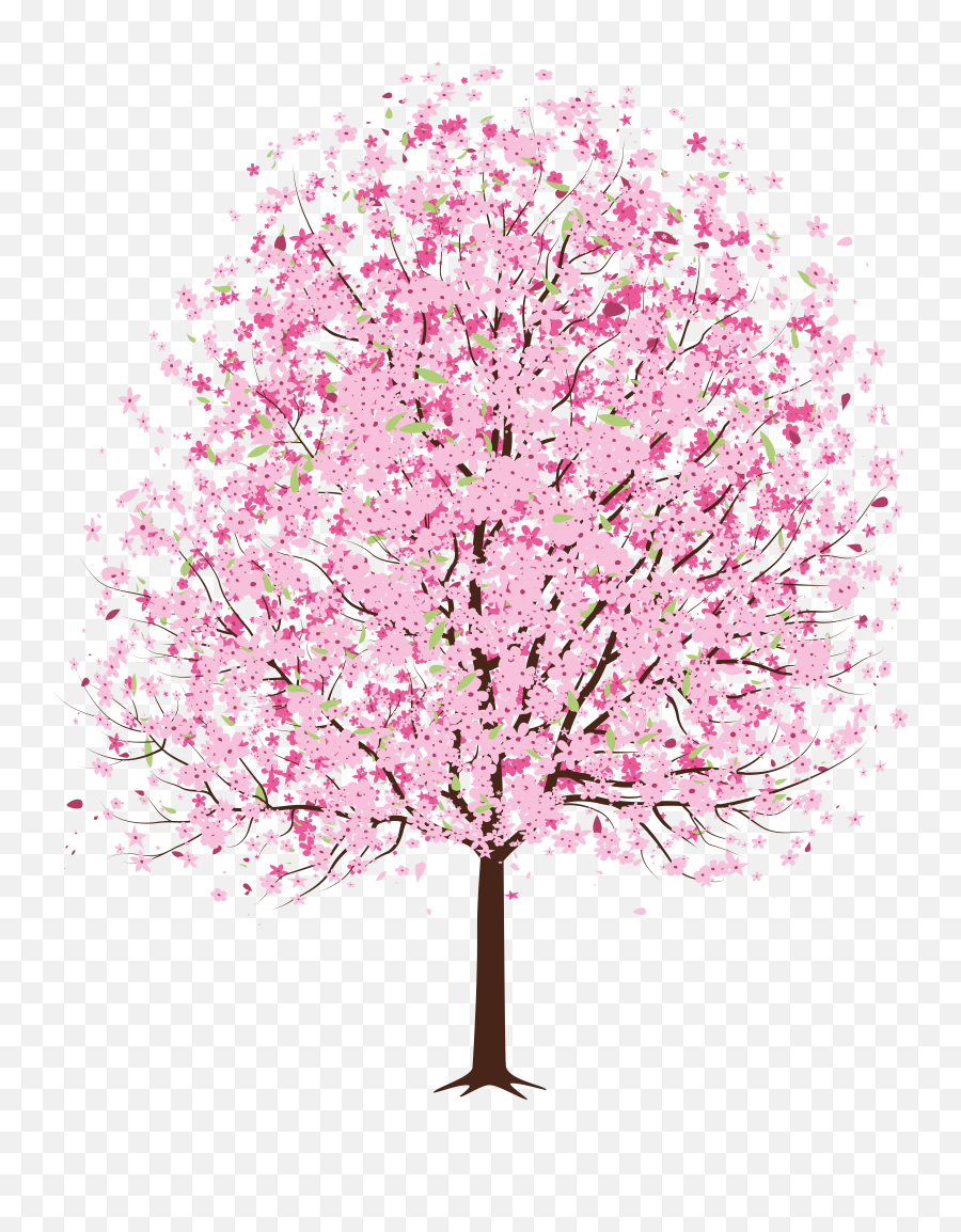 Pink Deco Blossom Cherry Tree Spring Png Clipart