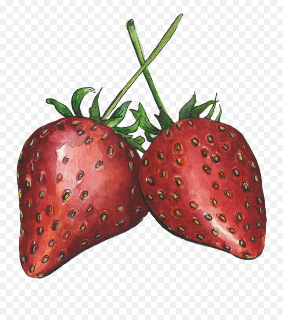 Strawberries - Strawberry Png,Strawberries Png