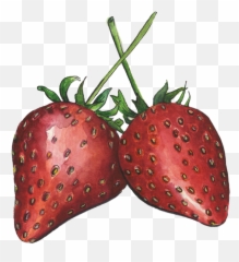 Strawberries - Strawberry png