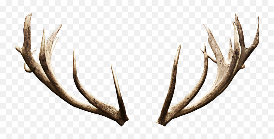 Deer Antlers Horns Png Image - Deer Antlers Png,Devil Horns Png