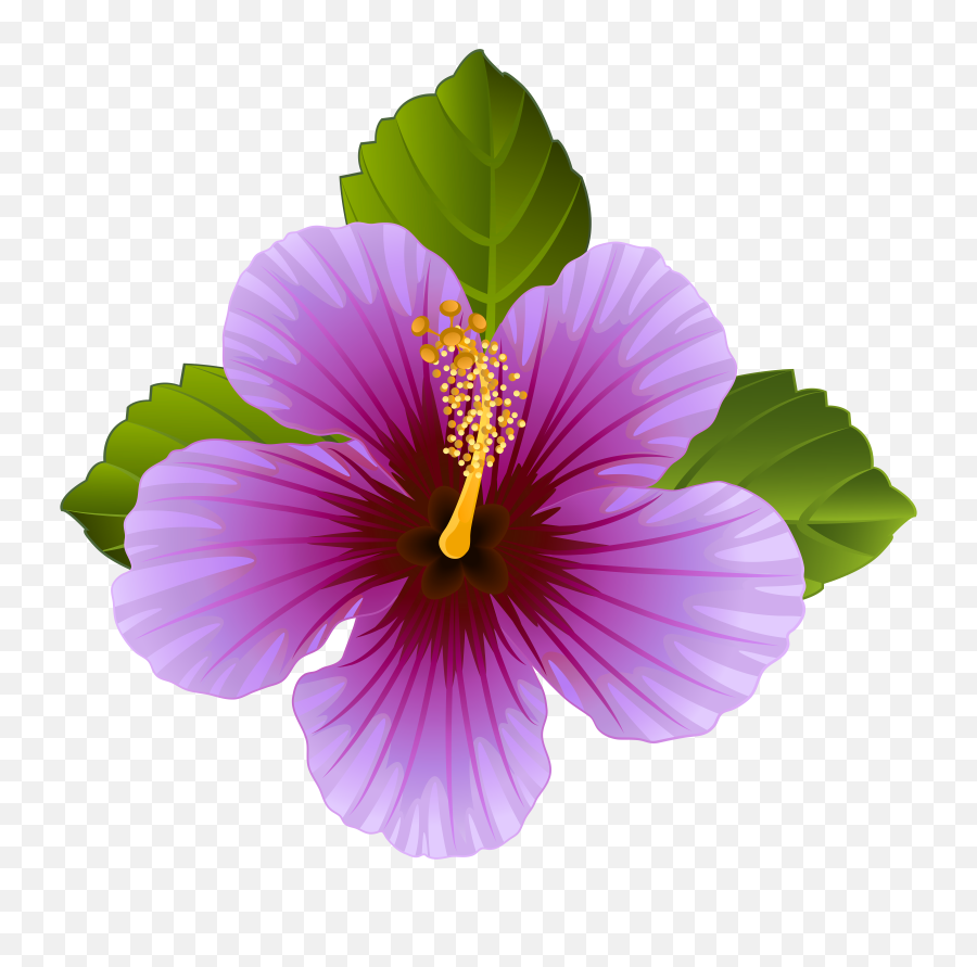 Purple Flower Transparent Clip Art Image Imagens - Flower Clipart Transparent Png,Clip Art Transparent Background