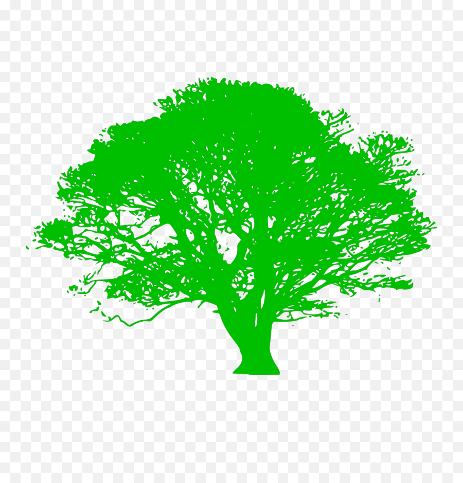Green Tree Branch Png Svg Clip Art For Web - Download Clip Silhouette Of Oak Tree,Tree Limb Png