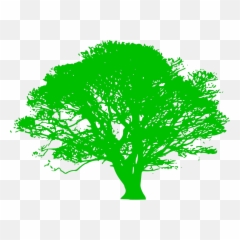 Green Tree Branch Png Svg Clip Art For Web - Download Silhouette Of Oak