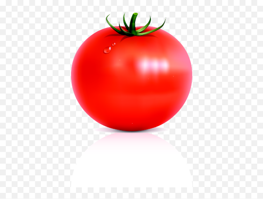 Clear Background Tomato Transparent - Shape Of A Tomato Png,Tomato Transparent Background