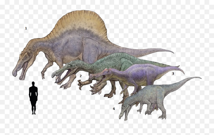 Spinosaurus Drawing Godzilla 2014 - Suchomimus Baryonyx Spinosaurus Png,Spinosaurus Png