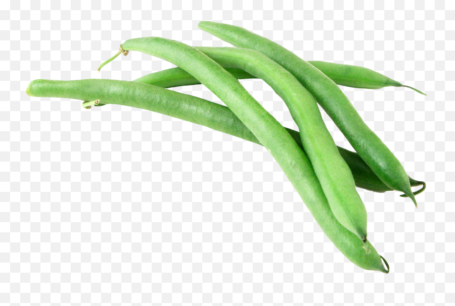 Download Green Beans Png Image For Free - Green Bean Png,Beans Png