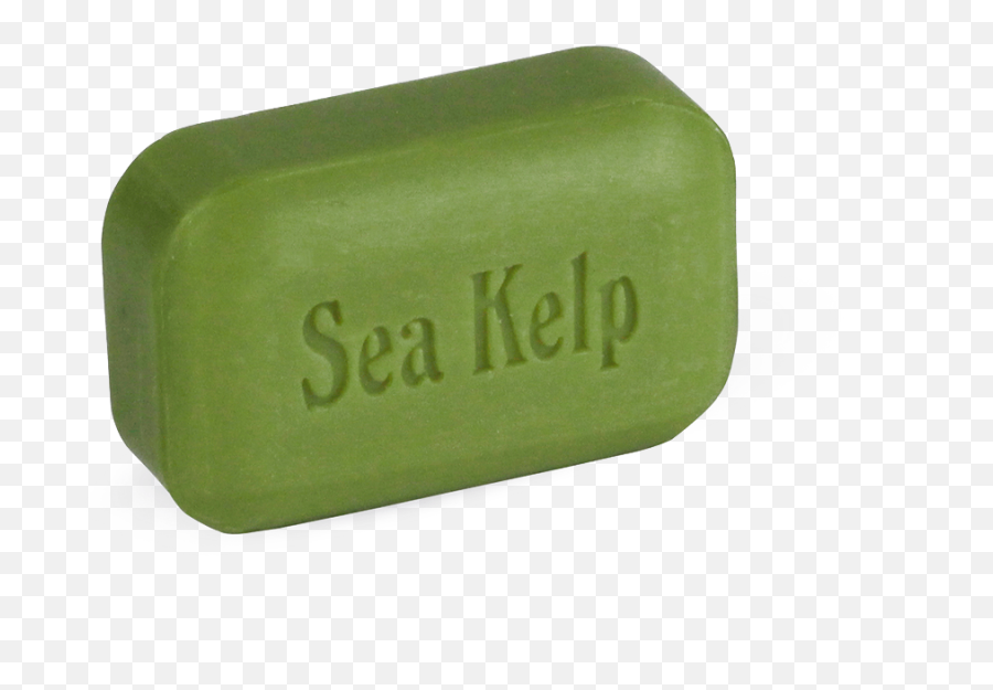 Sea Kelp - Soap Png,Kelp Png