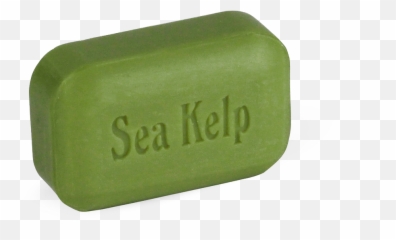 Sea Kelp - Soap Png,Kelp Png