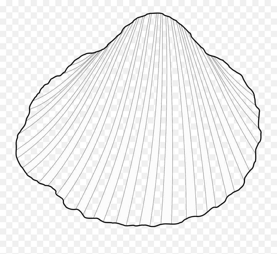 Free Clam Shell Png Download Clip Art - Cerastoderma Glaucum Draw,Clam Png